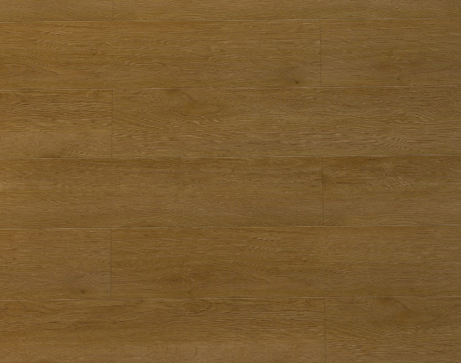 FB8692