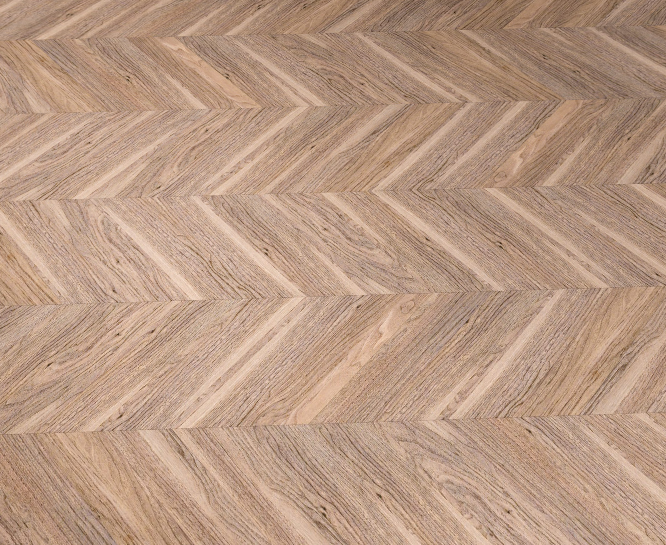 SCY805